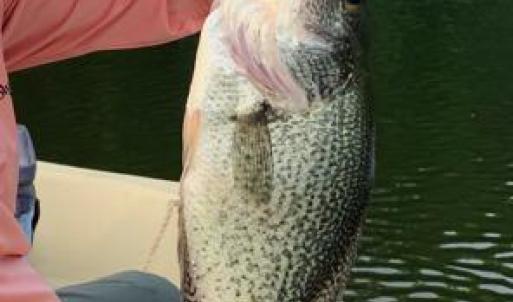 20240706023655065679000000-o