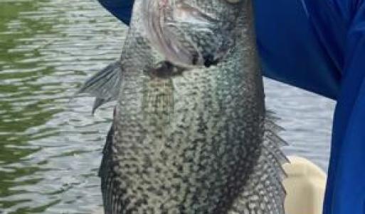 20240706023659975002000000-o