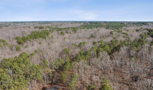 9-web-or-mls-DJI_20250228145751_0589_D