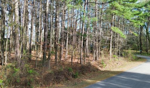 PHOTO-2026-03-14-19-46-17 3