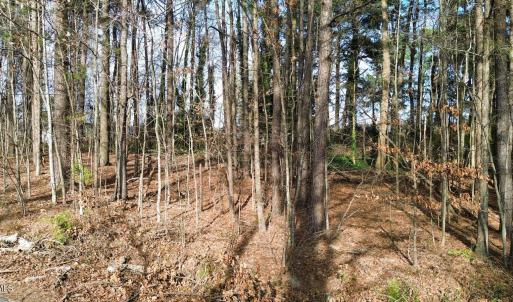 PHOTO-2026-03-14-19-46-17 5