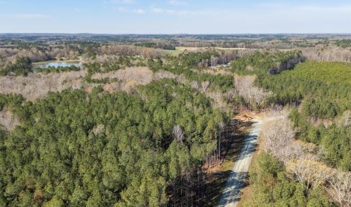 DJI_20260319103217_0161_D-HDR