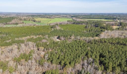 DJI_20260319102610_0116_D-HDR