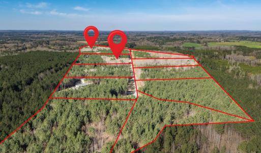 DJI_20260319101651_0061_D-HDR