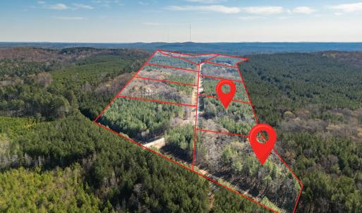 DJI_20260319101628_0006_D-HDR