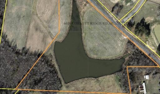 Screenshot 2026-03-26 at 8.31.26AM