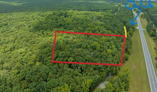 25-Screech-Owl-Moncure-NC-27559-0080