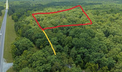 25-Screech-Owl-Moncure-NC-27559-0108