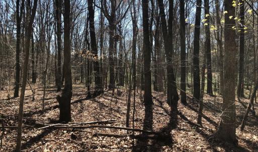 Photo #6 of 910 Nc-902, Pittsboro, NC 1.5 acres