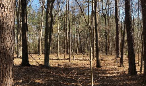 Photo #16 of 910 Nc-902, Pittsboro, NC 1.5 acres