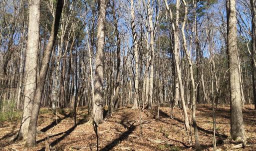 Photo #12 of 910 Nc-902, Pittsboro, NC 1.5 acres
