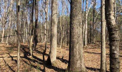 Photo #1 of 910 Nc-902, Pittsboro, NC 1.5 acres