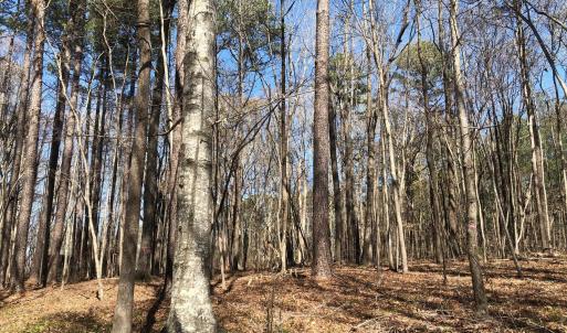 Photo #13 of 910 Nc-902, Pittsboro, NC 1.5 acres