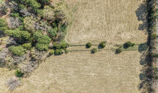 6-web-or-mls-DJI_20260326113153_0364_D