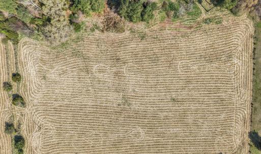 7-web-or-mls-DJI_20260326113216_0366_D