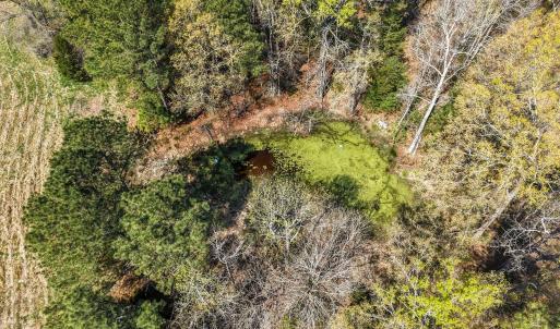 23-web-or-mls-DJI_20260326114959_0394_D