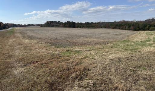 Open Field