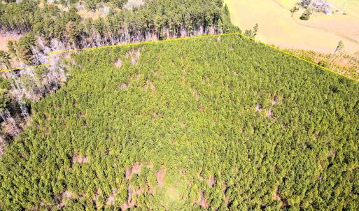 DJI_0642