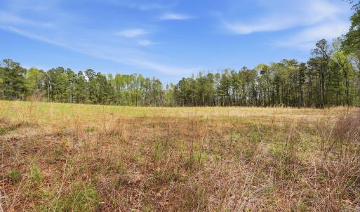 9-web-or-mls-6134 Bob Daniel rd-44