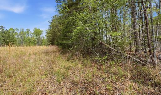 11-web-or-mls-6134 Bob Daniel rd-54