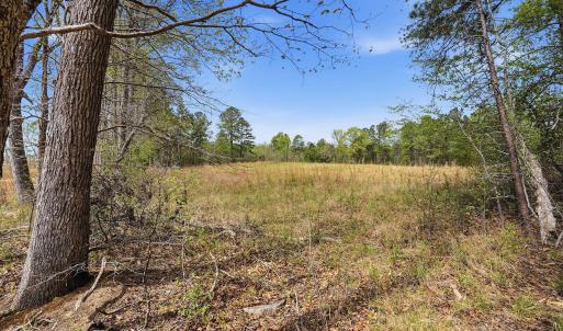 12-web-or-mls-6134 Bob Daniel rd-59
