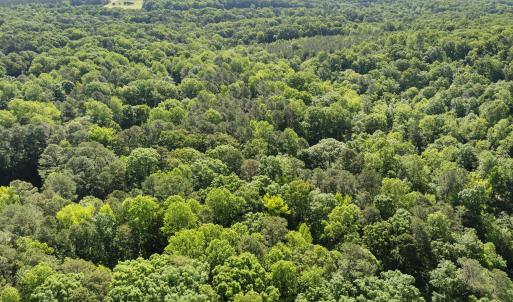 20260211224801202132000000-o