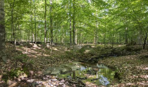 20260211224745437545000000-o