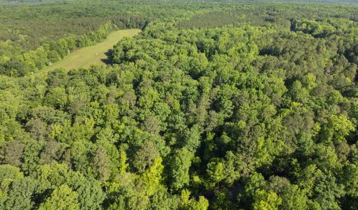 20260211224731960279000000-o