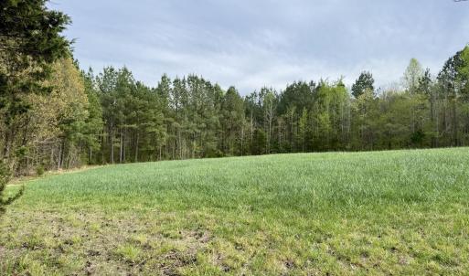 Hwy 86 - 30 ac - edge