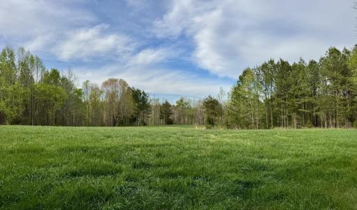 Hwy 86 - 30 ac - lush grass