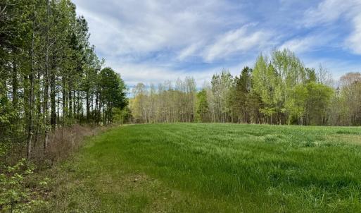 Hwy 86 - 30 ac - north side pasture