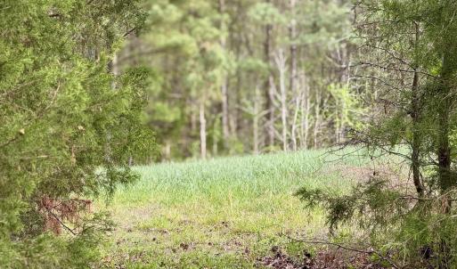 Hwy 86 - 30 ac - portal