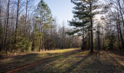 Granville NC 183 Premium _Pro Photo-44