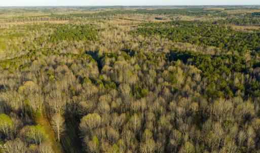 Granville NC 183 Premium _Pro Photo-83