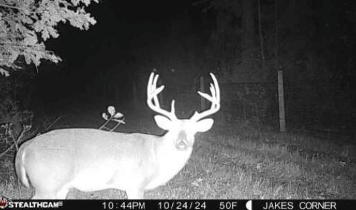 24102511264100000397