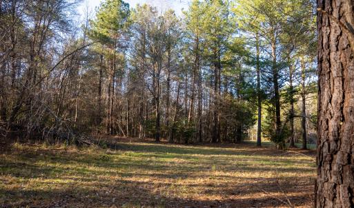 Granville NC 183 Premium _Pro Photo-35