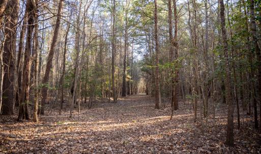 Granville NC 183 Premium _Pro Photo-34