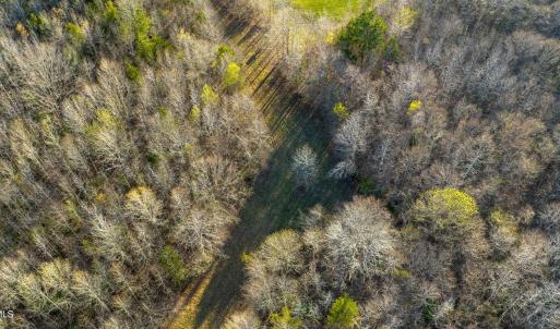 Granville NC 183 Premium _Pro Photo-59