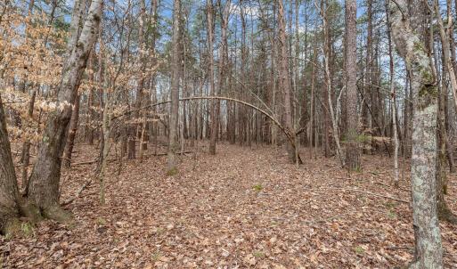 8-web-or-mls-_1190494