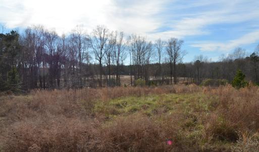 South view to adj development