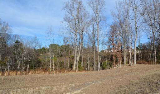 North View toward property from adjacent
