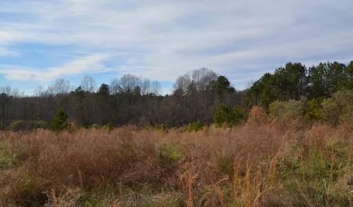View from Front of Property