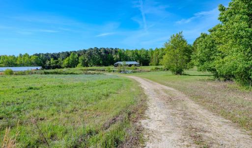 Ground Photos - Nordon-4