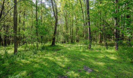 Ground Photos - Nordon-10