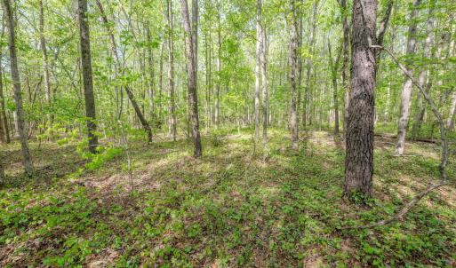 Ground Photos - Nordon-11