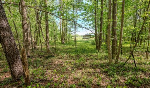 Ground Photos - Nordon-12