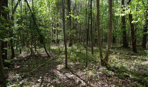 Ground Photos - Nordon-14