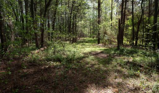 Ground Photos - Nordon-15