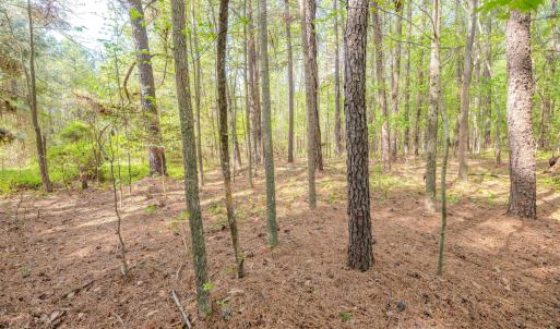 Ground Photos - Nordon-17