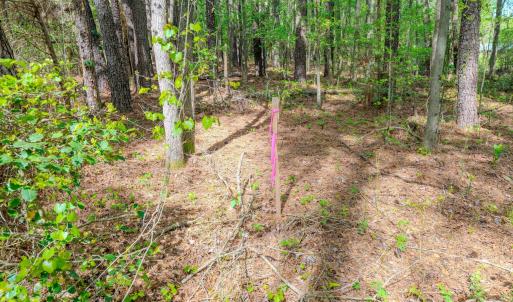 Ground Photos - Nordon-18